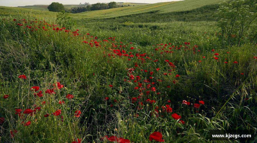 永不言败，英雄始终在路上！